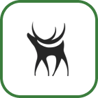 On hunt (hunting app) page